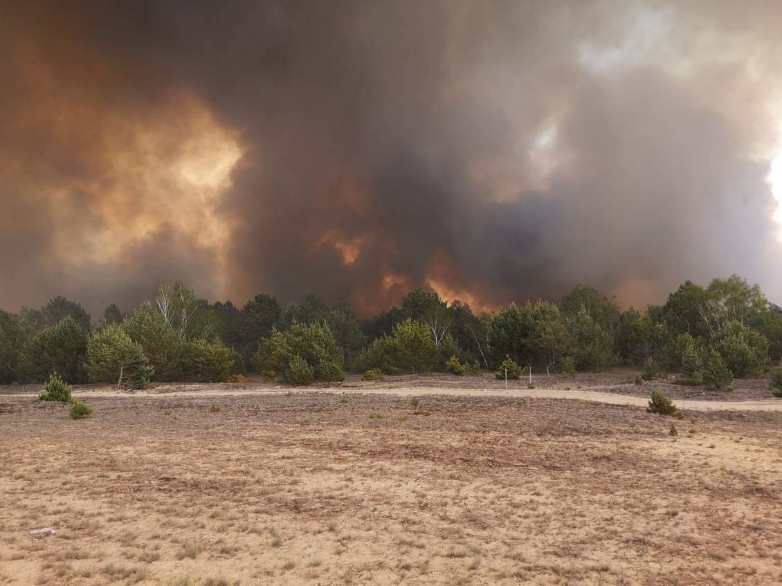 Das Foto zeigt einen Waldbrand.
